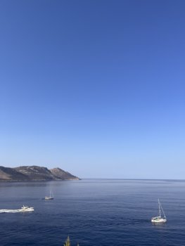 IMG_5213.jpeg