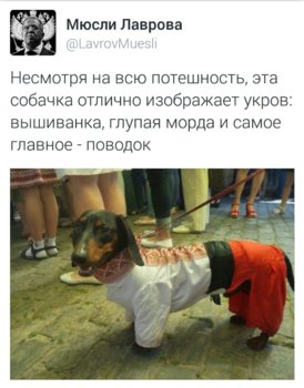 IMG_7683.jpeg