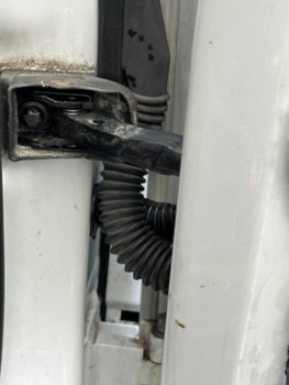 IMG_4944.jpeg