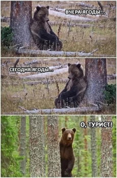 IMG_2299.jpeg