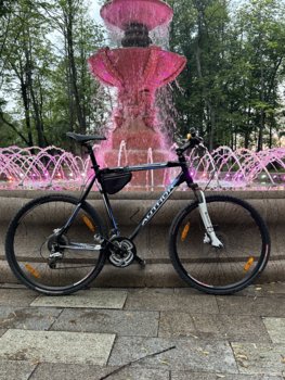 IMG_5026.jpeg