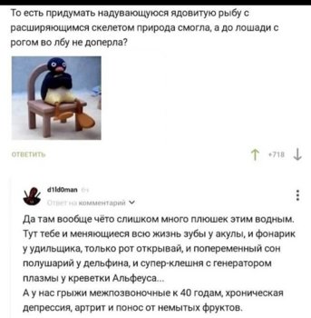 IMG_0970.jpeg