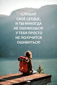 Без названия (8).jpeg