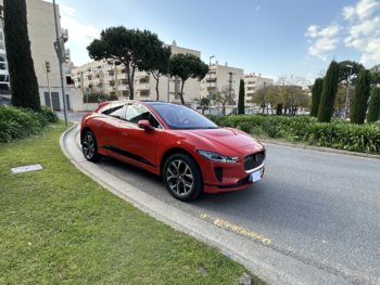 IMG_3925.jpeg