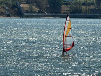 IMG_9257.png