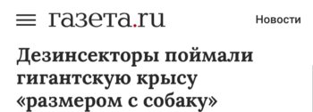 IMG_8032.jpeg