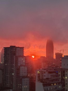 IMG_8275.jpeg