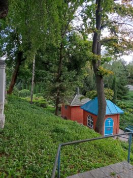 IMG_20250905_134440.jpg