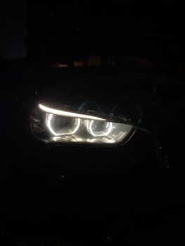 IMG_9486.jpeg