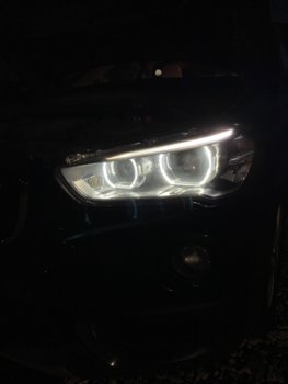 IMG_9487.jpeg