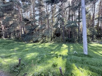 IMG_7618.jpeg