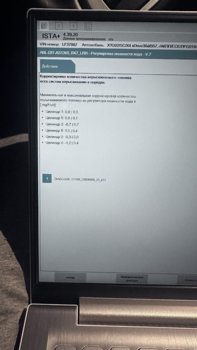 IMG_8235.jpeg