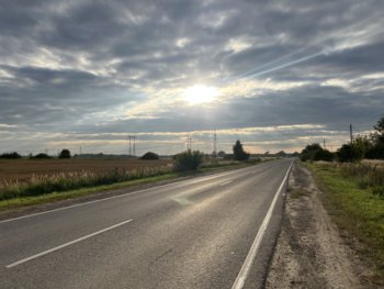 IMG_5443.jpeg