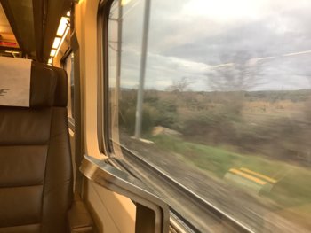 IMG_0044.jpeg