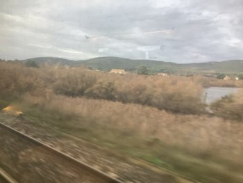 IMG_0045.jpeg