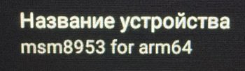 IMG_3208.jpeg