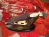 IMG_4286.packed4.jpg