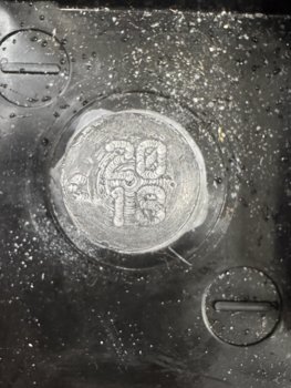IMG_8837.jpeg