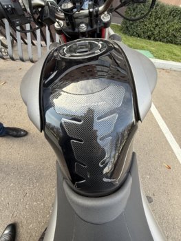 IMG_3290.jpeg