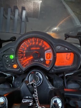 IMG_3295.jpeg