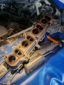 IMG_20260416_113707.jpg