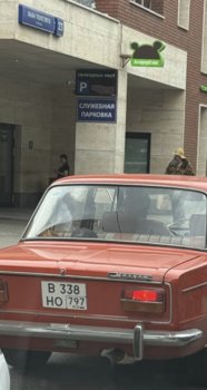IMG_9600.jpeg
