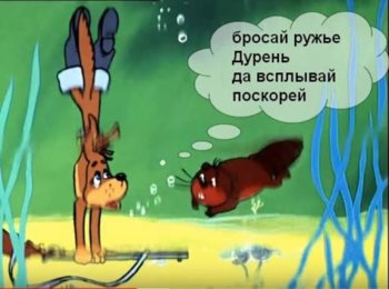 IMG_0508.jpeg