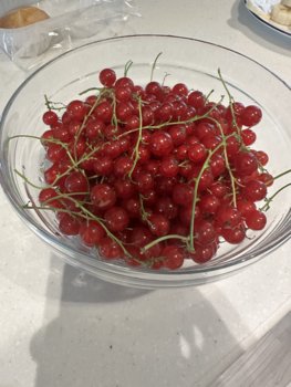 IMG_7062.jpeg