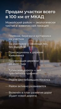 IMG_7659.jpeg