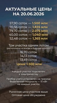 IMG_7660.jpeg