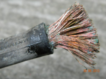 a36de0.jpg