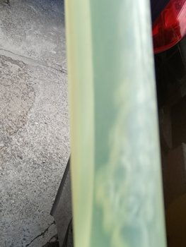 IMG_20260723_101838.jpg