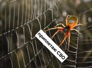 IMG_1482.jpeg