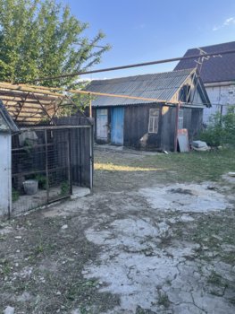 IMG_1823.jpeg