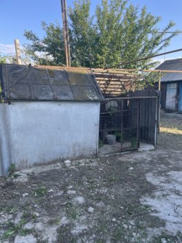 IMG_1824.jpeg