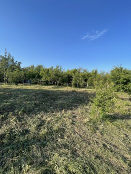 IMG_1817.jpeg