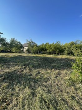IMG_1816.jpeg