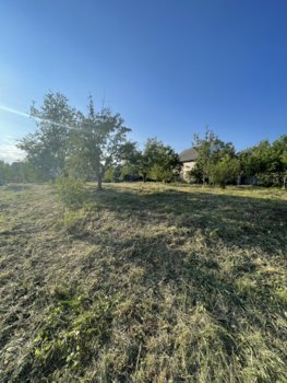 IMG_1812.jpeg