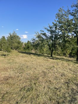 IMG_1808.jpeg
