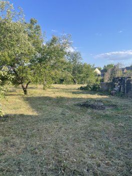 IMG_1804.jpeg