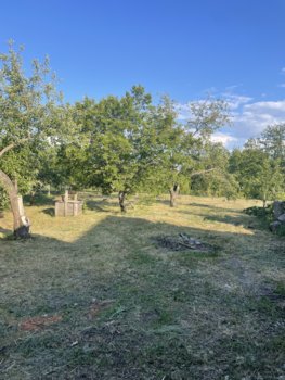 IMG_1803.jpeg