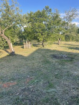 IMG_1802.jpeg