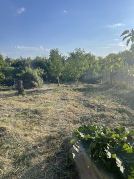 IMG_1806.jpeg