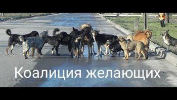 IMG_8328.jpeg
