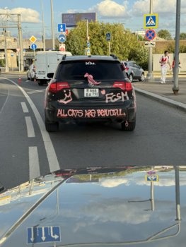 IMG_0261.jpeg