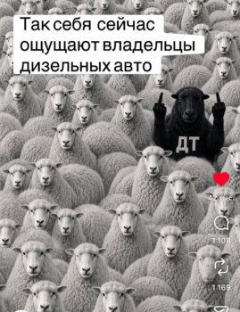 ДТ.jpg