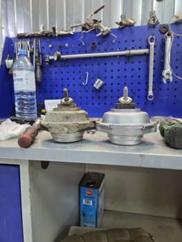 20260903_111735.jpg