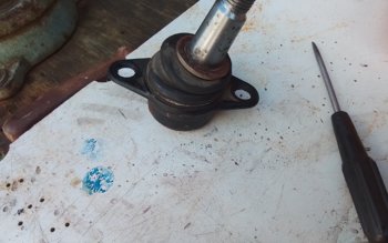 20260904_130216.jpg