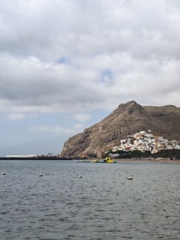 IMG_20260917_114913.jpg
