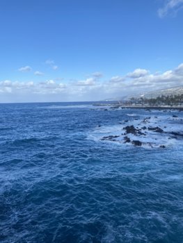IMG_4877.jpeg